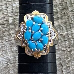 Gems En Vogue Michael Valitutti Ring 9 Two Tone Sterling & Sleeping B Turquoise
